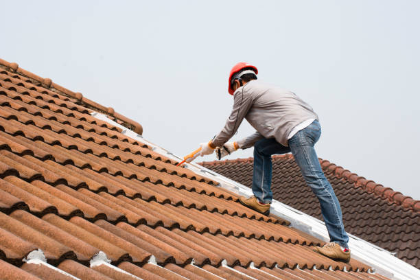 Best Roofing for New Construction  in Shawneeland, VA