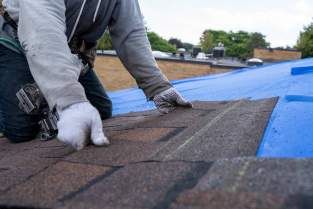 Best Roof Installation  in Shawneeland, VA