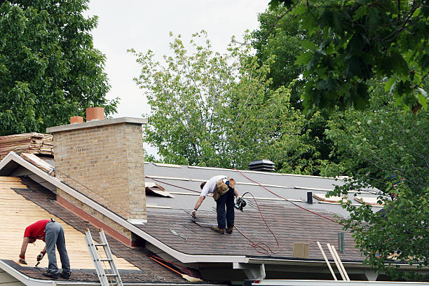 Best Roof Coating and Sealing  in Shawneeland, VA